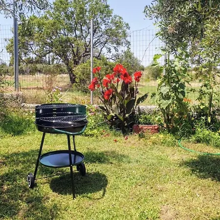 Appartement Paradise Flogita